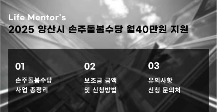 손주돌봄수당